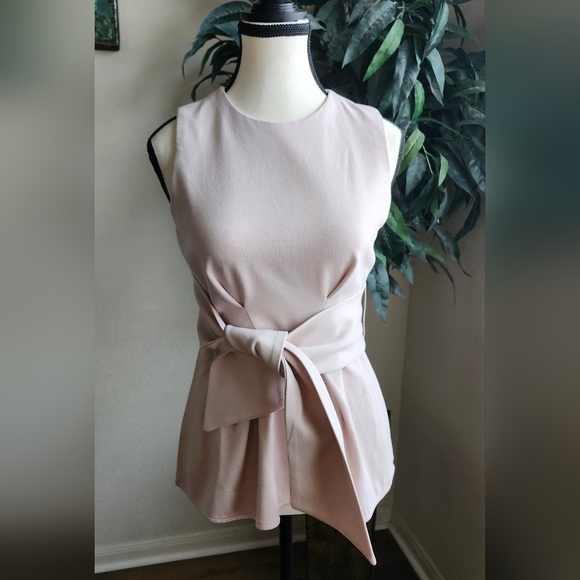 Hunter Bell Blush Sims Top Sz 0 - Picture 1 of 13